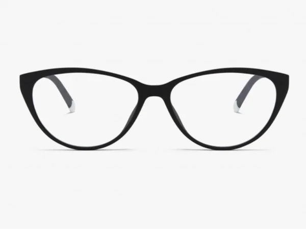 Barner Astoria Black Noir Zaštitne naočare (ABN) LAPTOP  I DESKTOP RAČUNARI