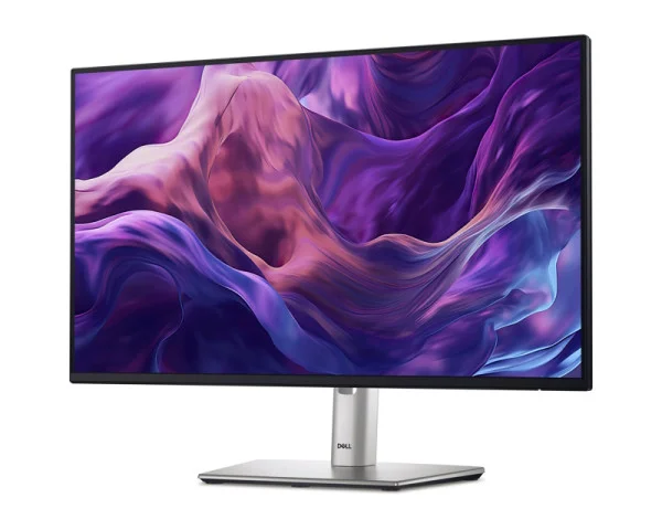DELL 23.8 inch P2425H 100Hz Professional IPS monitor MONITORI