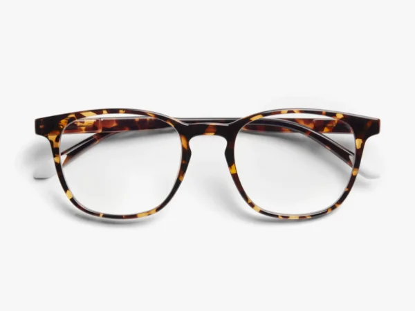 Barner Zaštitne naočare Dalston Glossy Tortoise (DGT)  LAPTOP  I DESKTOP RAČUNARI