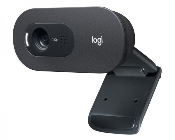 LOGITECH C505E Long Range HD web kamera OEM IT KOMPONENTE I PERIFERIJA