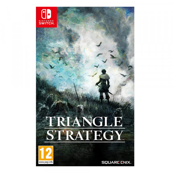 Switch Triangle Strategy GAMING 